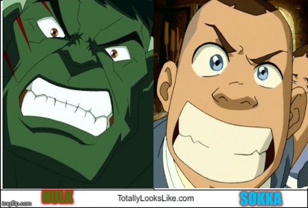 Do The Angry Face | HULK; SOKKA | image tagged in sokka,hulk,avatar the last airbender,avatar,marvel,angry | made w/ Imgflip meme maker