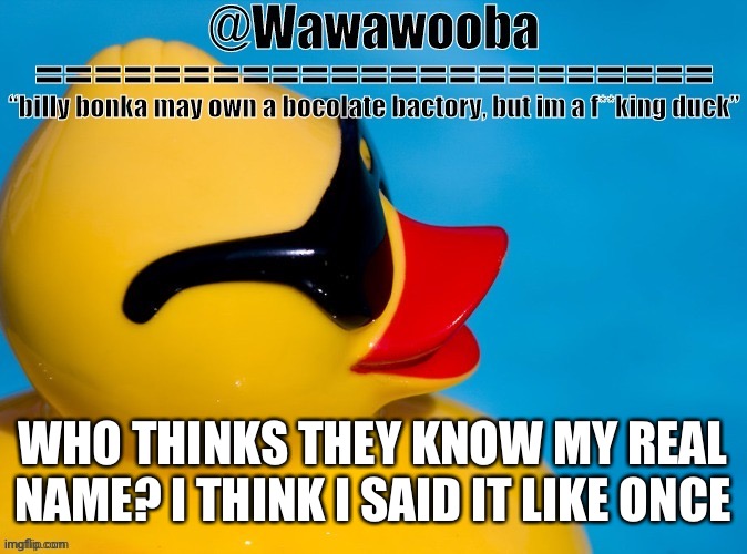 Who knows | WHO THINKS THEY KNOW MY REAL NAME? I THINK I SAID IT LIKE ONCE | image tagged in wawa s announcement temp | made w/ Imgflip meme maker