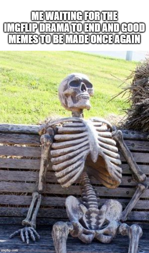 i came back after a while and its still going _-_ | ME WAITING FOR THE IMGFLIP DRAMA TO END AND GOOD MEMES TO BE MADE ONCE AGAIN | image tagged in memes,waiting skeleton | made w/ Imgflip meme maker