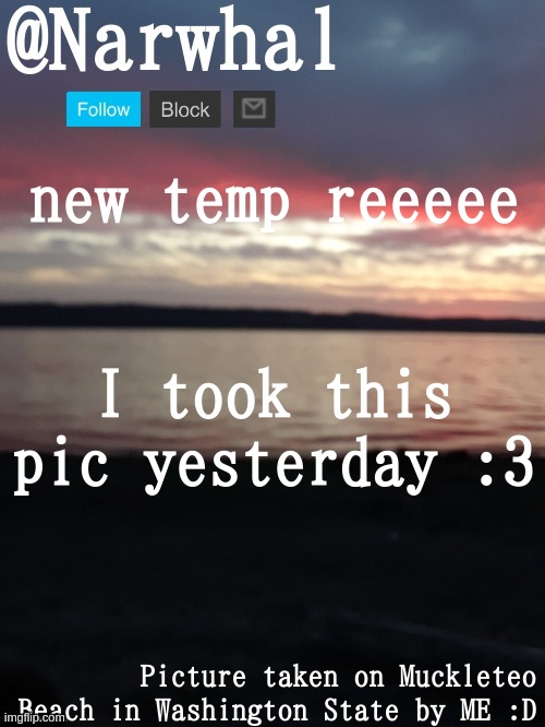 narwhal annoucnement temp | new temp reeeee; I took this pic yesterday :3 | image tagged in narwhal annoucnement temp | made w/ Imgflip meme maker