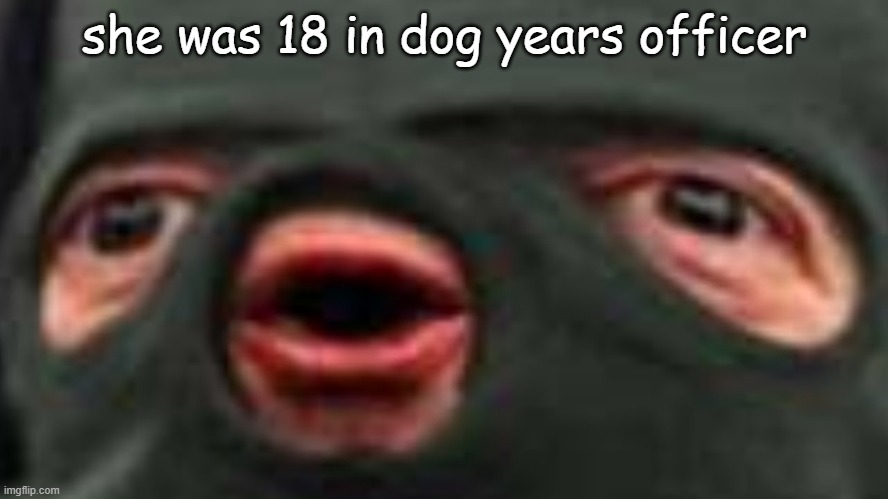 ok | she was 18 in dog years officer | image tagged in oof | made w/ Imgflip meme maker