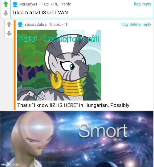 Hungarian Comment | image tagged in meme man smort,hungarian | made w/ Imgflip meme maker