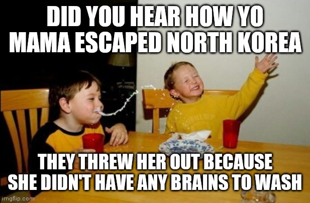 Yo mama so stupid | DID YOU HEAR HOW YO MAMA ESCAPED NORTH KOREA; THEY THREW HER OUT BECAUSE SHE DIDN'T HAVE ANY BRAINS TO WASH | image tagged in memes,yo mamas so fat | made w/ Imgflip meme maker