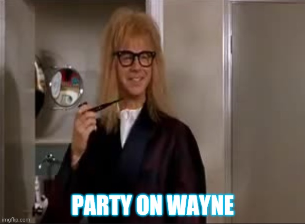 Party On | PARTY ON WAYNE | image tagged in party on | made w/ Imgflip meme maker