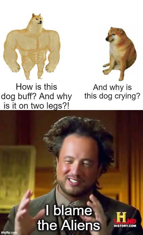 How is this dog buff? And why is it on two legs?! And why is this dog crying? I blame the Aliens | image tagged in memes,buff doge vs cheems,ancient aliens | made w/ Imgflip meme maker