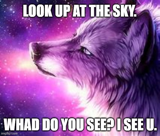 LOOK UP AT THE SKY. WHAD DO YOU SEE? I SEE U. | image tagged in dog | made w/ Imgflip meme maker