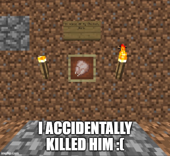 I ACCIDENTALLY KILLED HIM :( | made w/ Imgflip meme maker