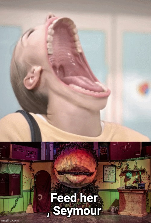Keep your hands and feet away | Feed her , Seymour | image tagged in laughing girl,audrey ii,garage,drive thru,big | made w/ Imgflip meme maker