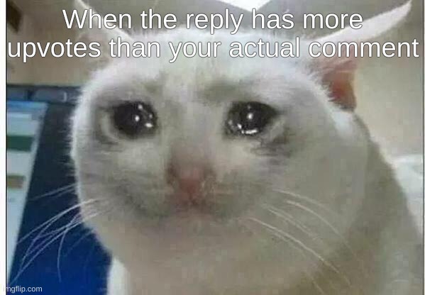*sad noises* | When the reply has more upvotes than your actual comment | image tagged in crying cat | made w/ Imgflip meme maker