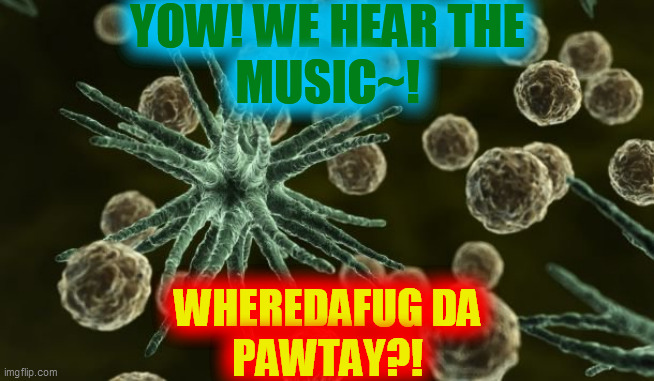 Bacteria | YOW! WE HEAR THE
MUSIC~! WHEREDAFUG DA
PAWTAY?! | image tagged in bacteria | made w/ Imgflip meme maker