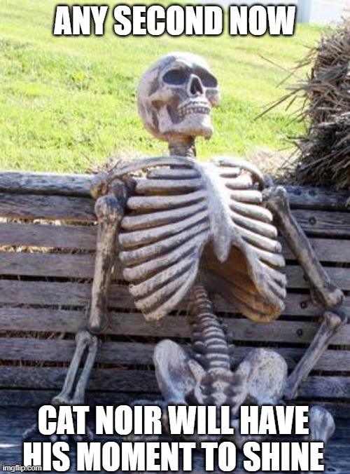 Waiting Skeleton Meme | ANY SECOND NOW; CAT NOIR WILL HAVE HIS MOMENT TO SHINE | image tagged in memes,waiting skeleton | made w/ Imgflip meme maker