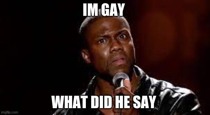 IM GAY; WHAT DID HE SAY | image tagged in kevin hart | made w/ Imgflip meme maker