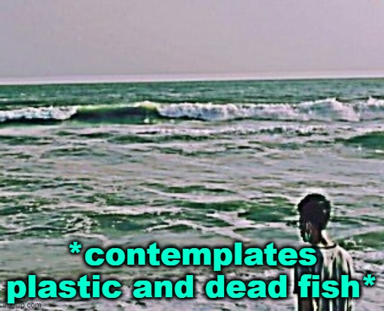 . | *contemplates plastic and dead fish* | made w/ Imgflip meme maker