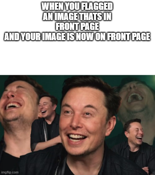 *laughs in laughter* | WHEN YOU FLAGGED AN IMAGE THATS IN FRONT PAGE
AND YOUR IMAGE IS NOW ON FRONT PAGE | image tagged in elon musk laughing | made w/ Imgflip meme maker