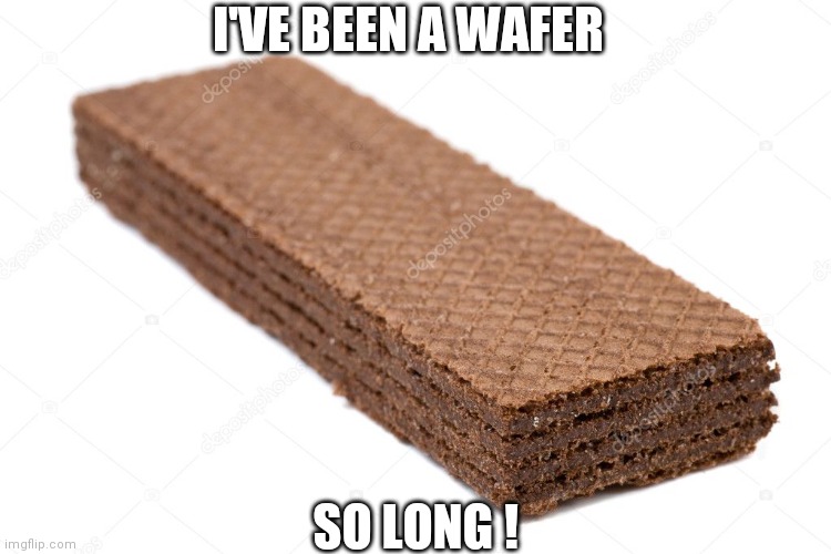 wafer | I'VE BEEN A WAFER; SO LONG ! | image tagged in food memes | made w/ Imgflip meme maker