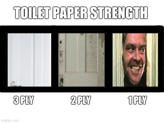 Toilet Paper strength |  TOILET PAPER STRENGTH; 3 PLY                      2 PLY                      1 PLY | image tagged in memes,toilet paper,strength,here's johnny,the shining,fun,memes | made w/ Imgflip meme maker