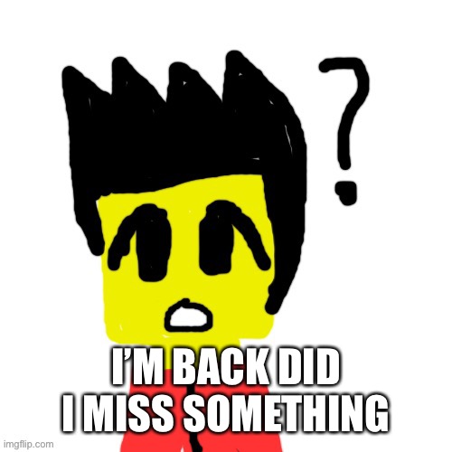 Lego anime confused face | I’M BACK DID I MISS SOMETHING | image tagged in lego anime confused face | made w/ Imgflip meme maker