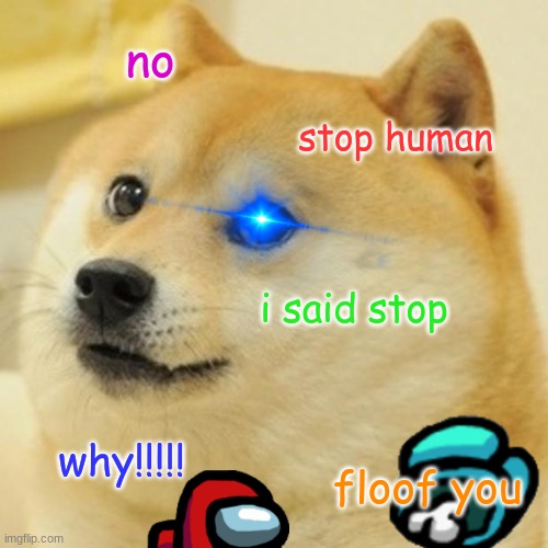 Doge Meme | no; stop human; i said stop; why!!!!! floof you | image tagged in memes,doge | made w/ Imgflip meme maker