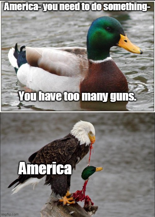 No one asked you | America- you need to do something-; You have too many guns. America | image tagged in actual advice mallard,2nd amendment | made w/ Imgflip meme maker