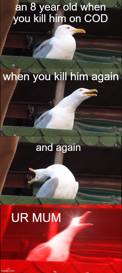 be quiet kid | an 8 year old when you kill him on COD; when you kill him again; and again; UR MUM | image tagged in memes,inhaling seagull | made w/ Imgflip meme maker
