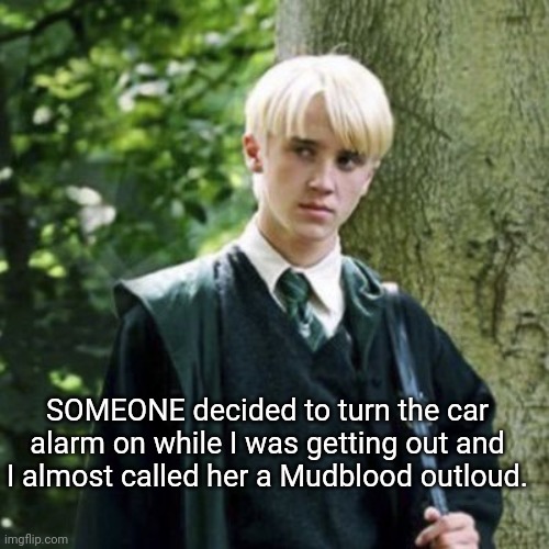 She probably would've just "what'd you say?" Since she likes HP too | SOMEONE decided to turn the car alarm on while I was getting out and I almost called her a Mudblood outloud. | made w/ Imgflip meme maker