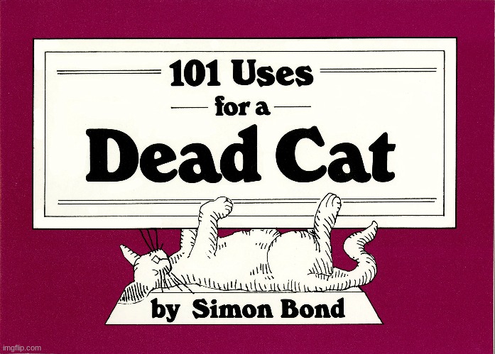DEAD CAT | made w/ Imgflip meme maker