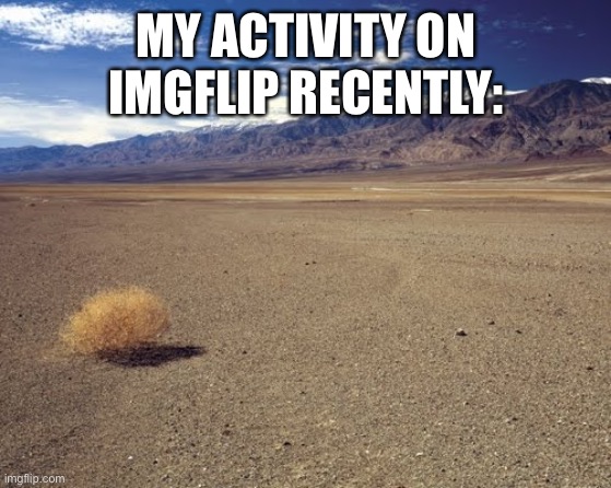 desert tumbleweed | MY ACTIVITY ON IMGFLIP RECENTLY: | image tagged in desert tumbleweed | made w/ Imgflip meme maker