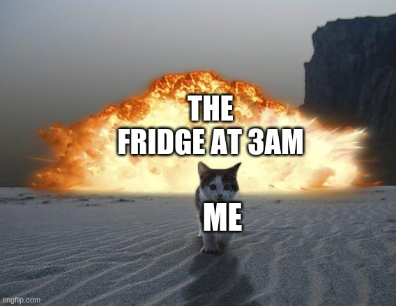 cat explosion | THE FRIDGE AT 3AM; ME | image tagged in cat explosion | made w/ Imgflip meme maker