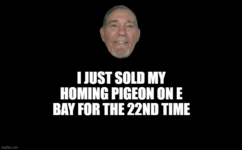 black screen | I JUST SOLD MY HOMING PIGEON ON E BAY FOR THE 22ND TIME | image tagged in black screen | made w/ Imgflip meme maker