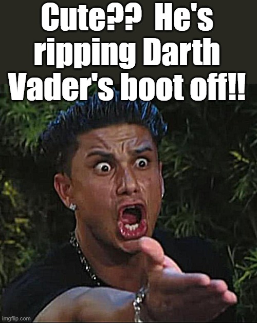 DJ Pauly D Meme | Cute??  He's ripping Darth Vader's boot off!! | image tagged in memes,dj pauly d | made w/ Imgflip meme maker