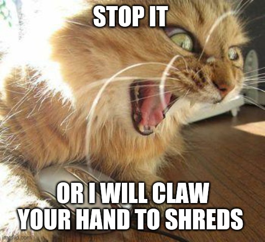 STOP IT OR I WILL CLAW YOUR HAND TO SHREDS | made w/ Imgflip meme maker