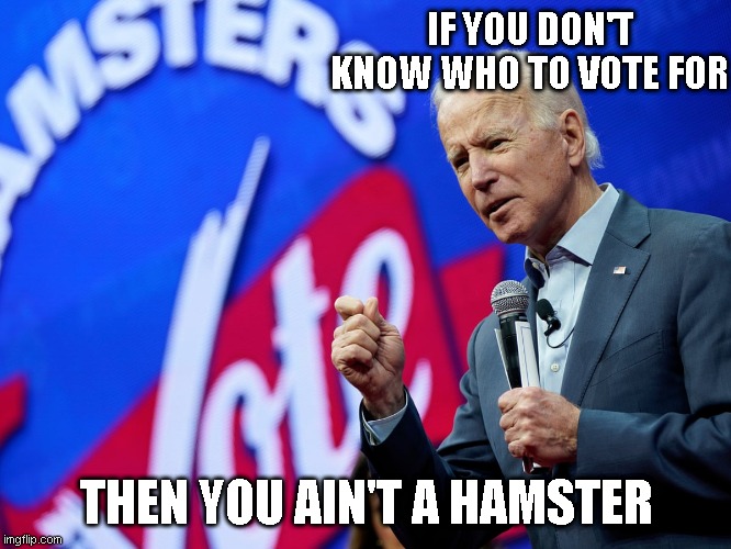 Biden teamsters vote | IF YOU DON'T KNOW WHO TO VOTE FOR; THEN YOU AIN'T A HAMSTER | image tagged in biden teamsters vote | made w/ Imgflip meme maker