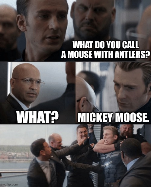 Mickey Moose | WHAT DO YOU CALL A MOUSE WITH ANTLERS? MICKEY MOOSE. WHAT? | image tagged in captain america elevator fight | made w/ Imgflip meme maker