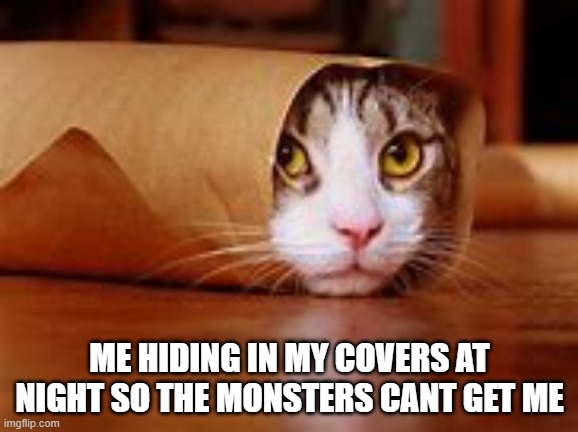 this is still me | ME HIDING IN MY COVERS AT NIGHT SO THE MONSTERS CANT GET ME | image tagged in scared cat | made w/ Imgflip meme maker