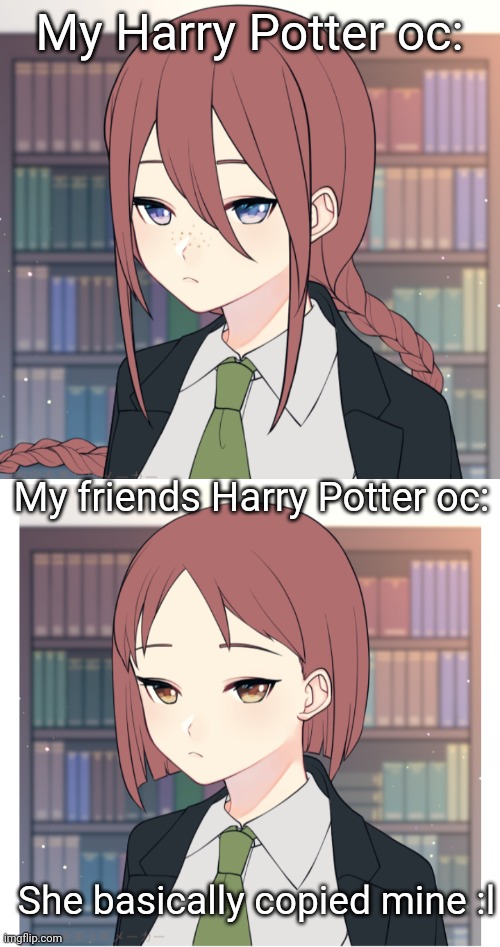 I showed her mine and then she made hers-.. | My Harry Potter oc:; My friends Harry Potter oc:; She basically copied mine :l | made w/ Imgflip meme maker