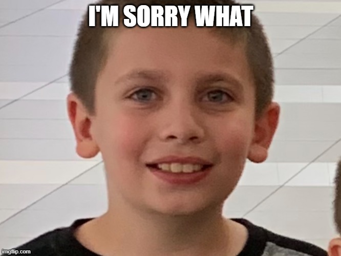 I'm sorry what | I'M SORRY WHAT | image tagged in i'm sorry what | made w/ Imgflip meme maker