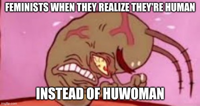 Image Title | FEMINISTS WHEN THEY REALIZE THEY'RE HUMAN; INSTEAD OF HUWOMAN | image tagged in visible frustration | made w/ Imgflip meme maker