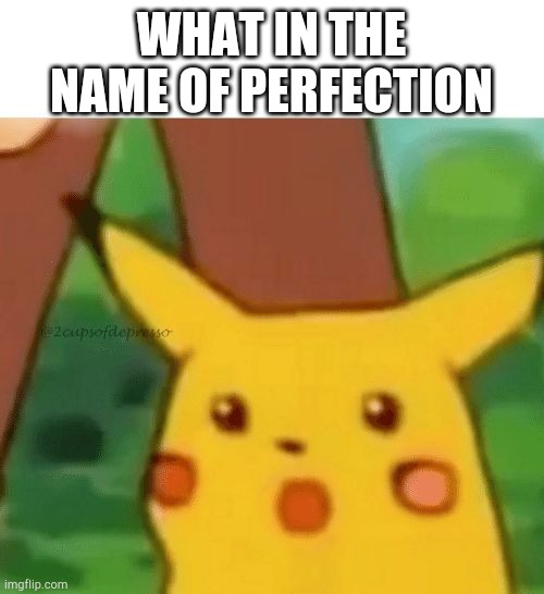 Pikachu Meme | WHAT IN THE NAME OF PERFECTION | image tagged in pikachu meme | made w/ Imgflip meme maker