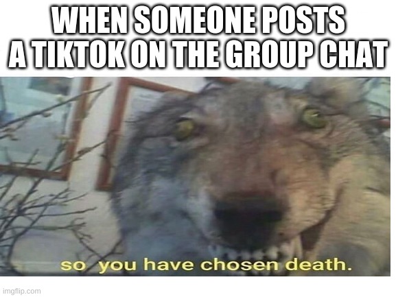 WHEN SOMEONE POSTS A TIKTOK ON THE GROUP CHAT | image tagged in memes | made w/ Imgflip meme maker