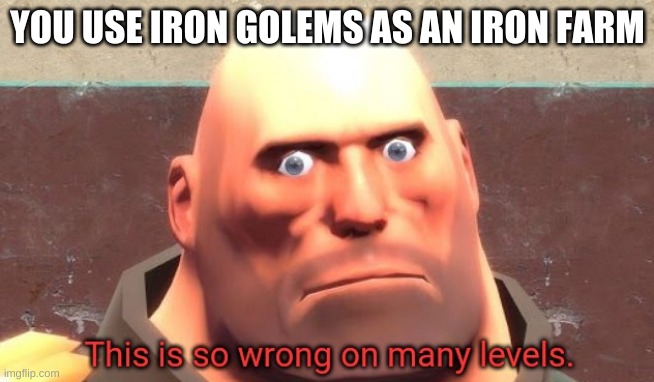 Just wrong | YOU USE IRON GOLEMS AS AN IRON FARM | image tagged in this is so wrong on many levels | made w/ Imgflip meme maker