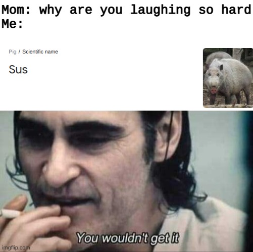 haha funne sus | Mom: why are you laughing so hard
Me: | image tagged in you wouldn't get it | made w/ Imgflip meme maker