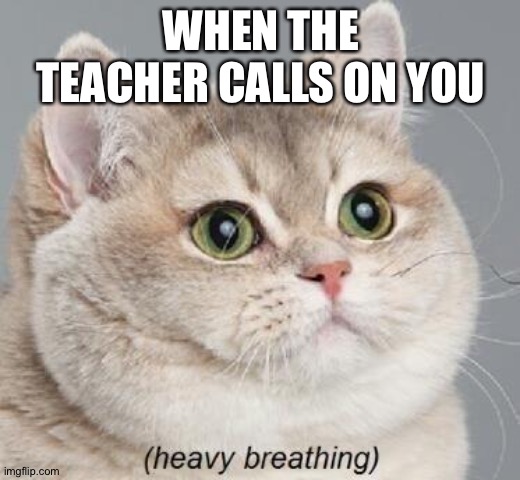 Heavy Breathing Cat | WHEN THE TEACHER CALLS ON YOU | image tagged in memes,heavy breathing cat | made w/ Imgflip meme maker
