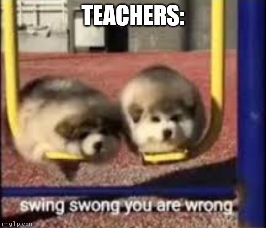 swing swong | TEACHERS: | image tagged in swing swong | made w/ Imgflip meme maker