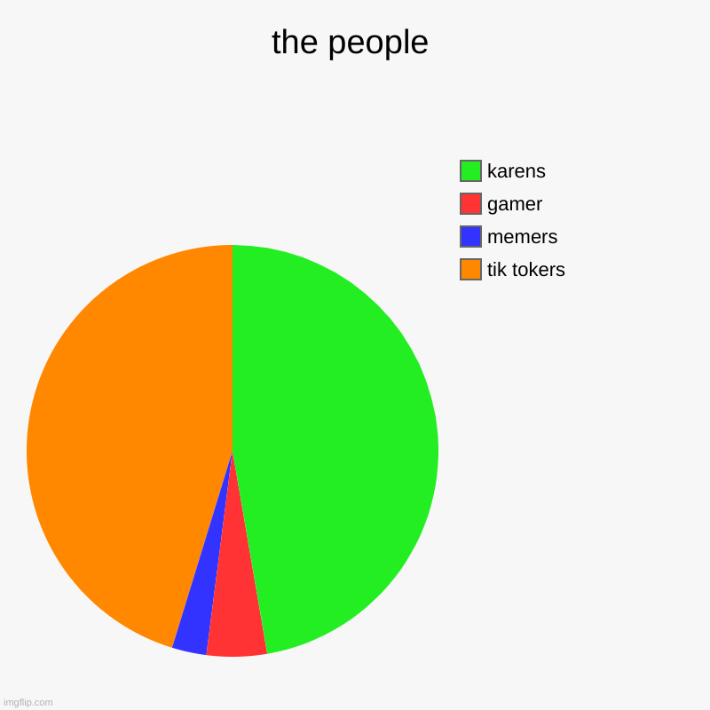 the people | tik tokers, memers, gamer, karens | image tagged in charts,pie charts | made w/ Imgflip chart maker