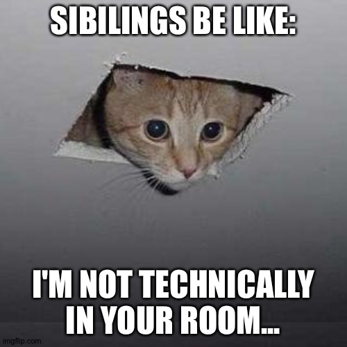 Ceiling Cat Meme | SIBILINGS BE LIKE:; I'M NOT TECHNICALLY IN YOUR ROOM... | image tagged in memes,ceiling cat | made w/ Imgflip meme maker