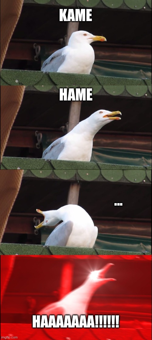 Inhaling Seagull | KAME; HAME; ... HAAAAAAA!!!!!! | image tagged in memes,inhaling seagull | made w/ Imgflip meme maker