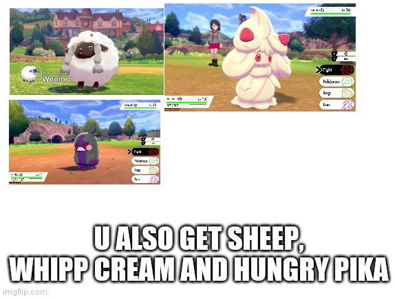 Blank White Template | U ALSO GET SHEEP, WHIPP CREAM AND HUNGRY PIKA | image tagged in blank white template | made w/ Imgflip meme maker