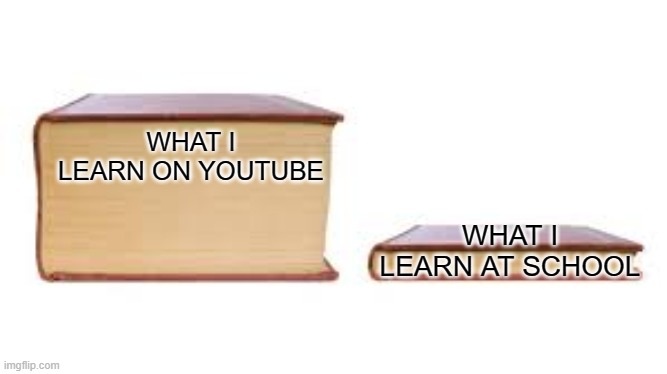 yt | WHAT I LEARN AT SCHOOL; WHAT I LEARN ON YOUTUBE | image tagged in big book small book | made w/ Imgflip meme maker