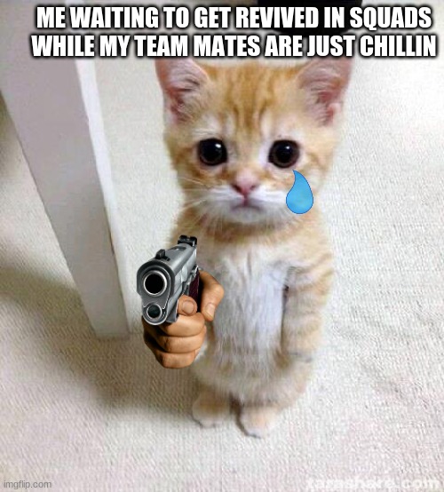 why are they like this :( | ME WAITING TO GET REVIVED IN SQUADS WHILE MY TEAM MATES ARE JUST CHILLIN | image tagged in memes,cute cat | made w/ Imgflip meme maker