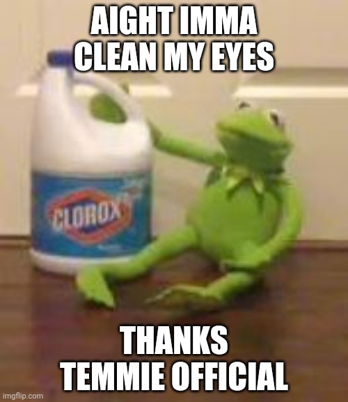 IVE SEEN TO MUCH OF THAT CRAP | AIGHT IMMA CLEAN MY EYES; THANKS TEMMIE OFFICIAL | image tagged in kermit bleach | made w/ Imgflip meme maker